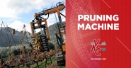 Pruning Machine